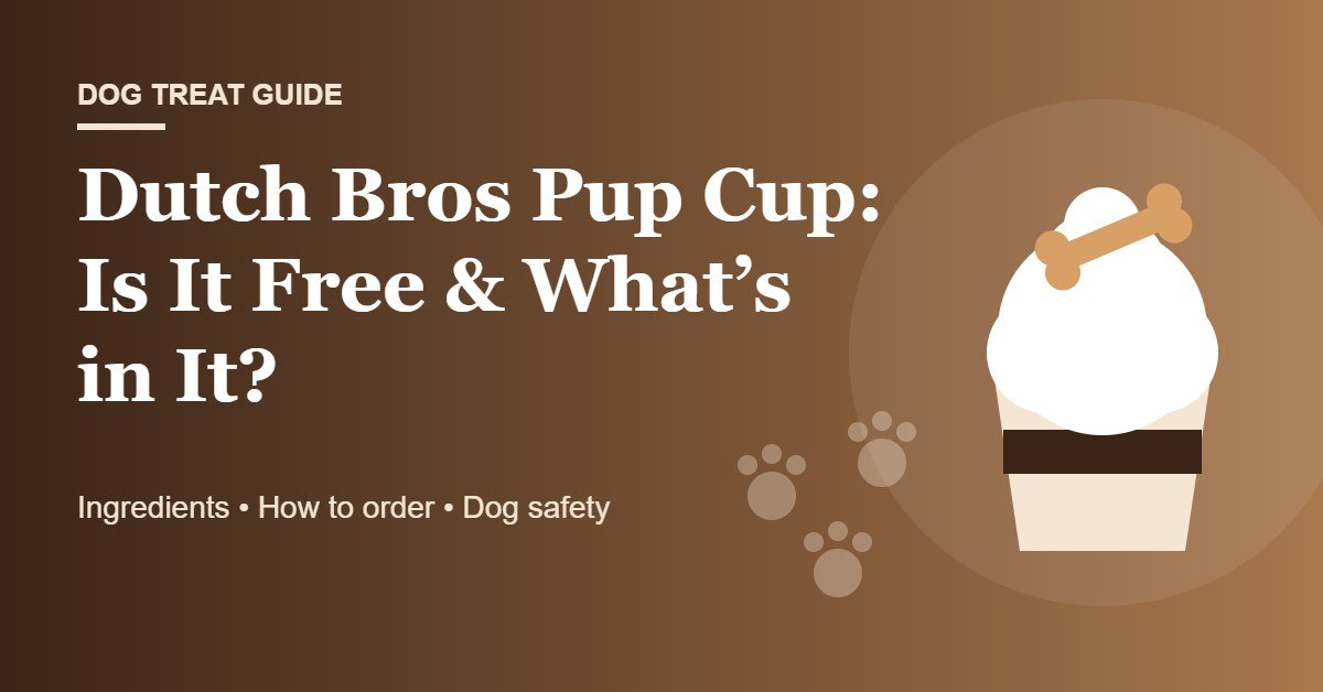 Dutch Bros pup cup with whipped cream and a dog biscuit